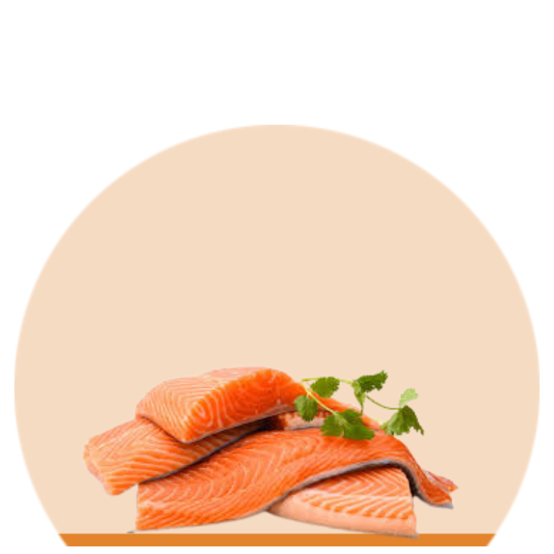 Norwegian Salmon Fillet