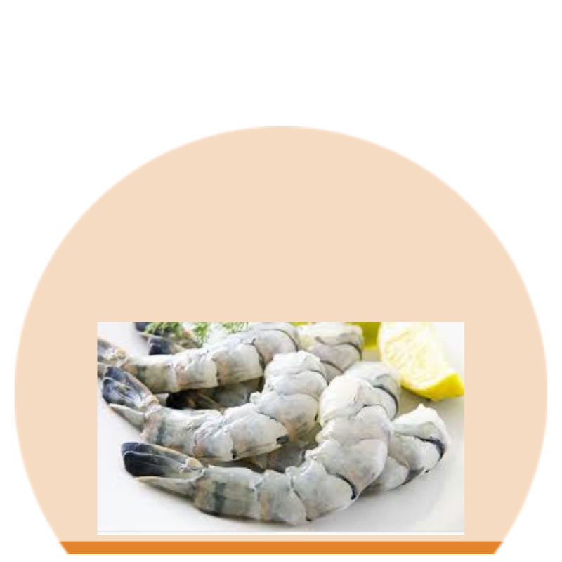 Prawns 13_15